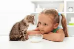 Wat mogen katten eten