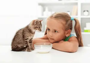 Wat mogen katten wel en niet eten?